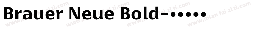 Brauer Neue Bold字体转换